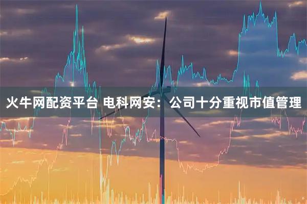 火牛网配资平台 电科网安：公司十分重视市值管理