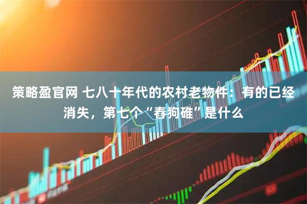 策略盈官网 七八十年代的农村老物件：有的已经消失，第七个“舂狗碓”是什么