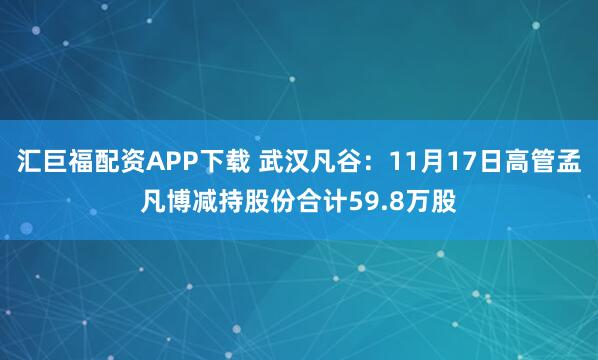 汇巨福配资APP下载 武汉凡谷：11月17日高管孟凡博减持股份合计59.8万股