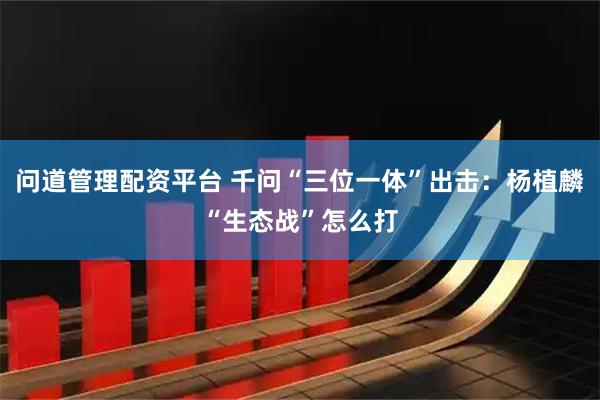 问道管理配资平台 千问“三位一体”出击：杨植麟“生态战”怎么打