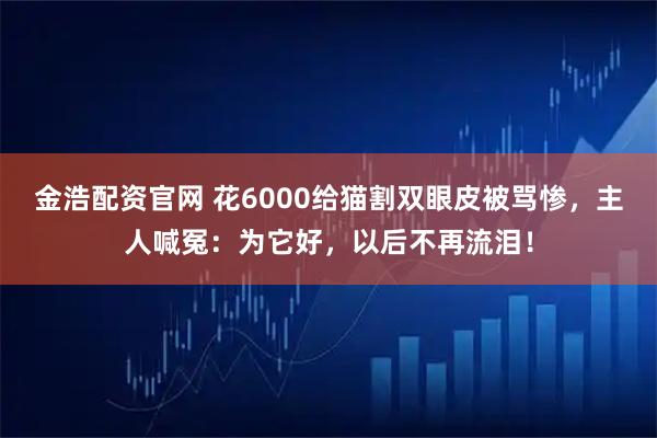 金浩配资官网 花6000给猫割双眼皮被骂惨，主人喊冤：为它好，以后不再流泪！