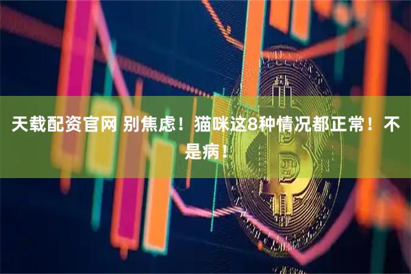 天载配资官网 别焦虑！猫咪这8种情况都正常！不是病！