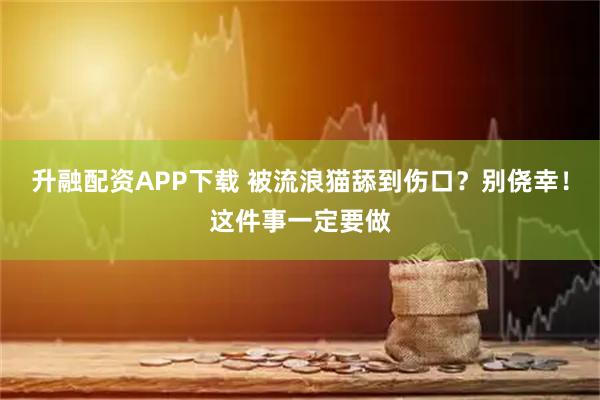 升融配资APP下载 被流浪猫舔到伤口？别侥幸！这件事一定要做
